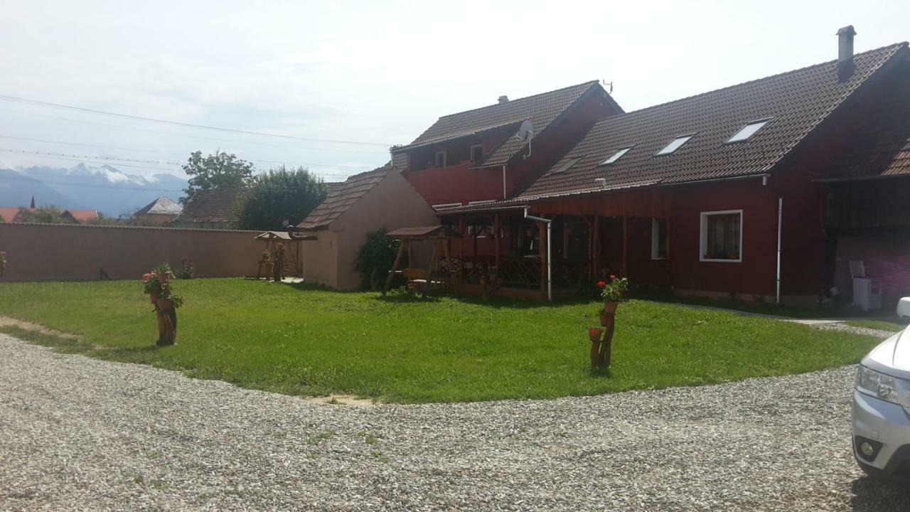 Casa Suzy & Roxy Apartamento Arpasu de Jos Exterior foto
