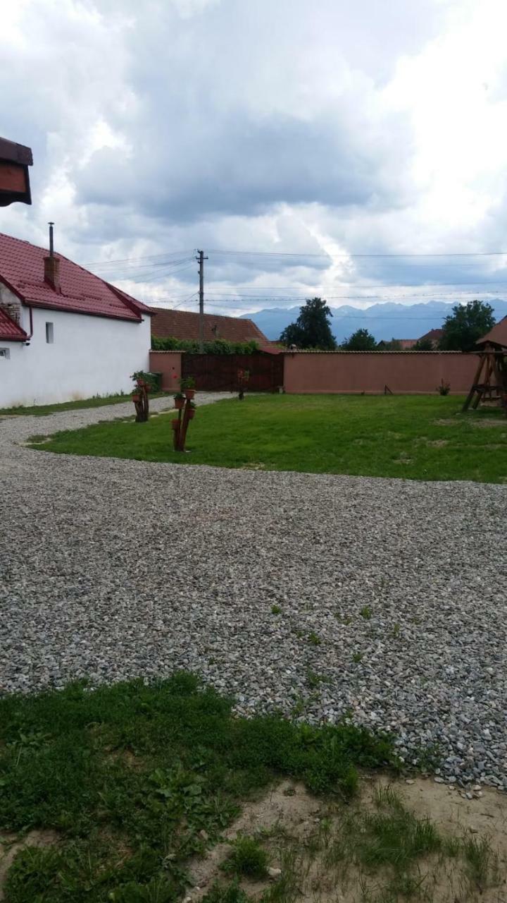 Casa Suzy & Roxy Apartamento Arpasu de Jos Exterior foto