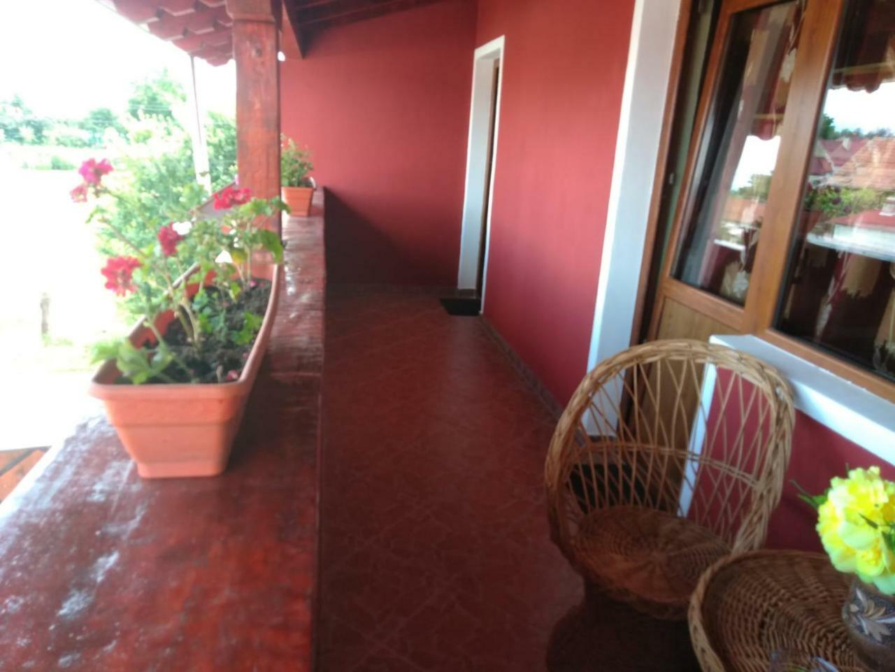 Casa Suzy & Roxy Apartamento Arpasu de Jos Exterior foto