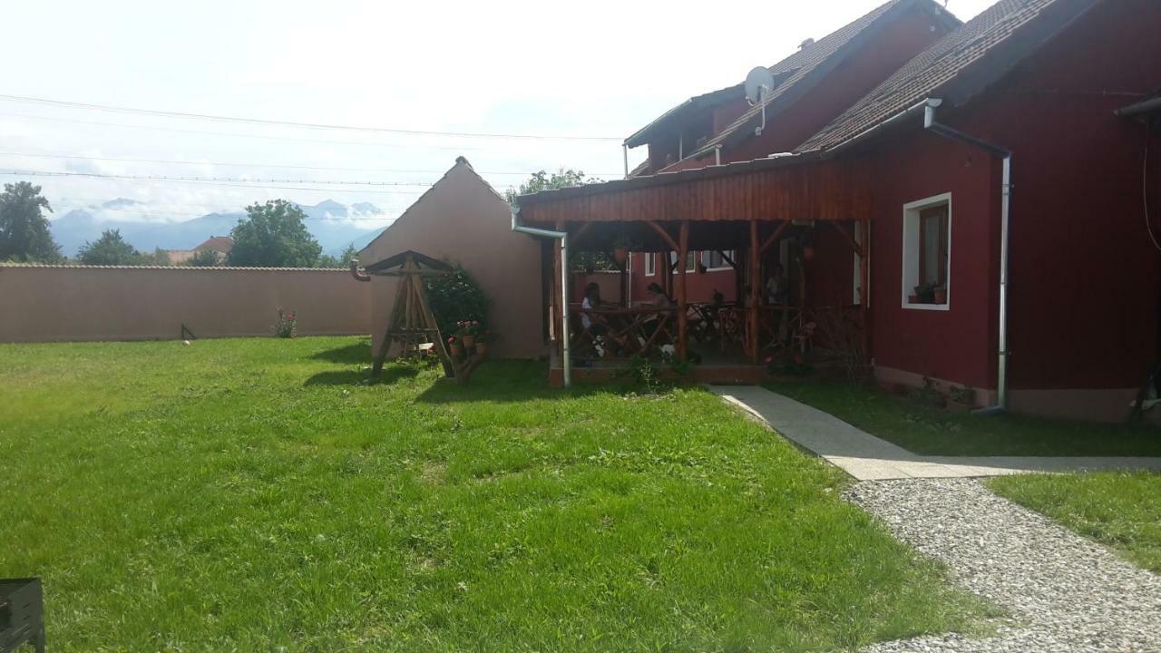 Casa Suzy & Roxy Apartamento Arpasu de Jos Exterior foto
